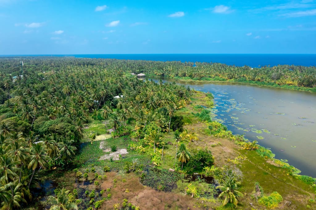 Aerial view of Bandaara Kilhi freshwater lake surrounded by dense wetland vegetation