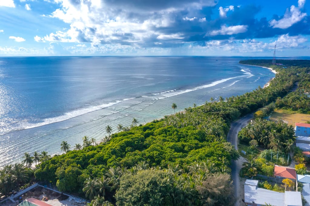 Aerial view of dense coastal forest and a curving shoreline on Fuvahmulah